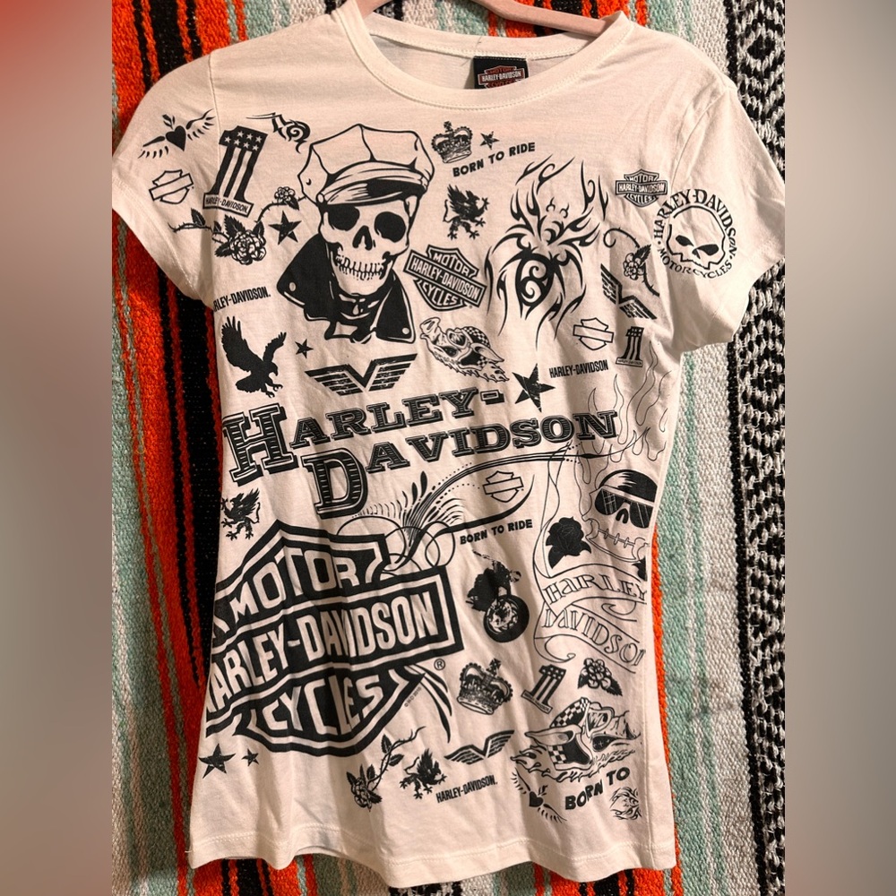 2010 Born to Ride Harley Davidson